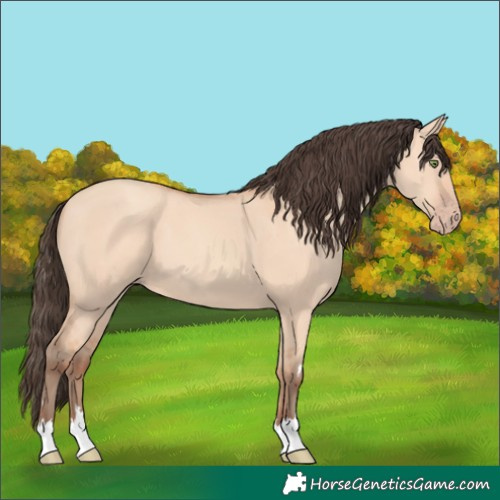 Horse Color:Unknown 