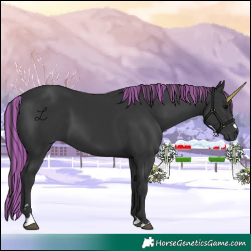 Horse Color:Painted Black