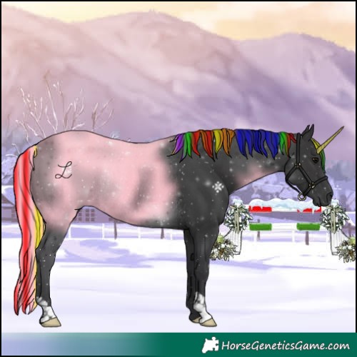 Horse Color:Painted Black Rabicano
