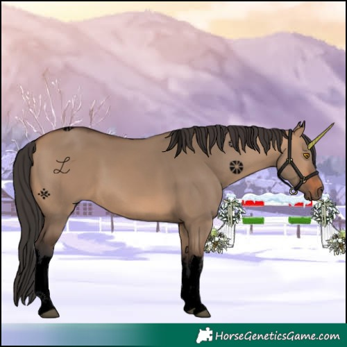 Horse Color:Void White Spotted Bay Dun 