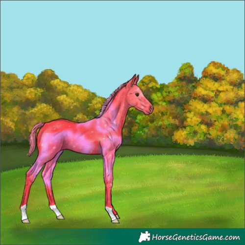Horse Color:Watercolor Liver Chestnut