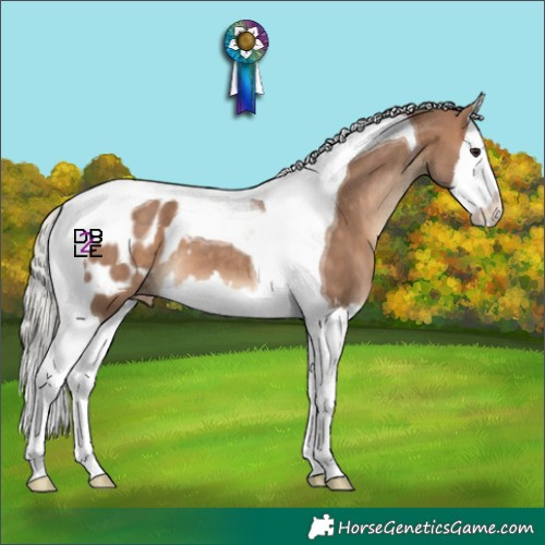 Horse Color:Silver Bay Dun Splash Tobiano Blanket