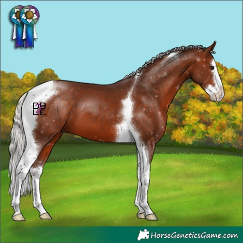 Horse Color:Silver Bay Splash Tobiano