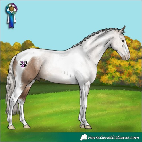 Horse Color:Silver Grullo Tobiano
