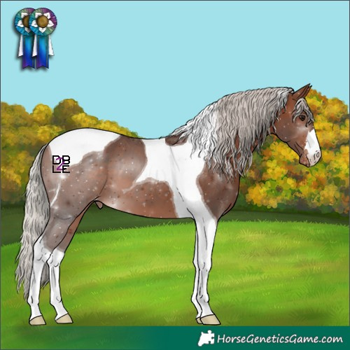 Horse Color:Silver Brown Tobiano Varnish