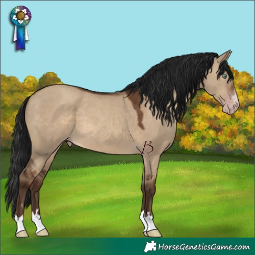 Horse Color:Gray Sable Champagne Dun