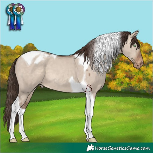 Horse Color:Sable Champagne Dun Tobiano Varnish