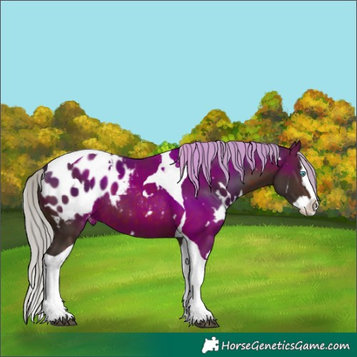 Horse Color:White Spotted Silver Brown Splash Tobiano Blanket