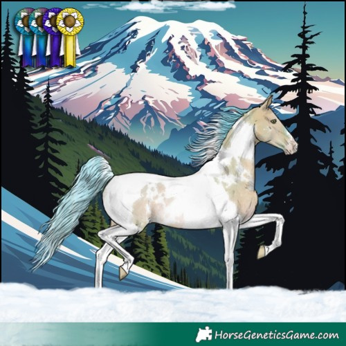 Horse Color:Watercolor White Spotted Brown Dun Tobiano Rabicano