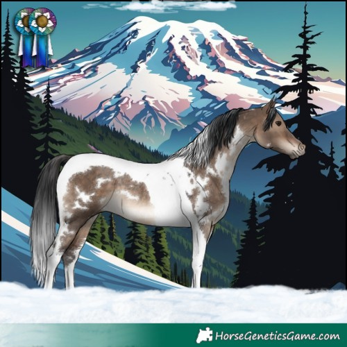 Horse Color:White Spotted Brown Dun Tobiano Rabicano