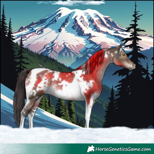 Horse Color:White Spotted Brown Dun Tobiano Rabicano