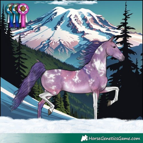 Horse Color:Watercolor White Spotted Brown Dun Tobiano Rabicano