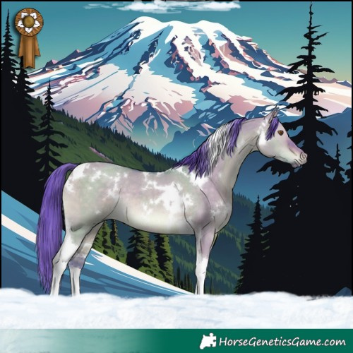 Horse Color:Watercolor White Spotted Brown Dun Tobiano Rabicano 