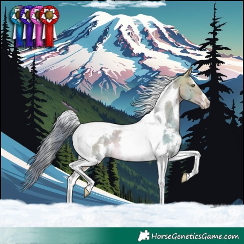 Horse Color:Watercolor White Spotted Brown Dun Tobiano Rabicano 