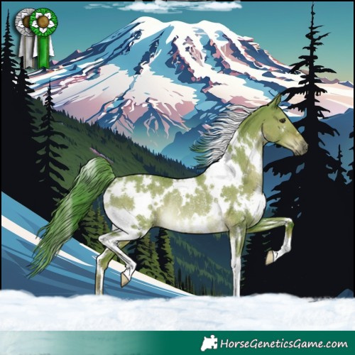 Horse Color:Watercolor White Spotted Liver Red Dun Rabicano
