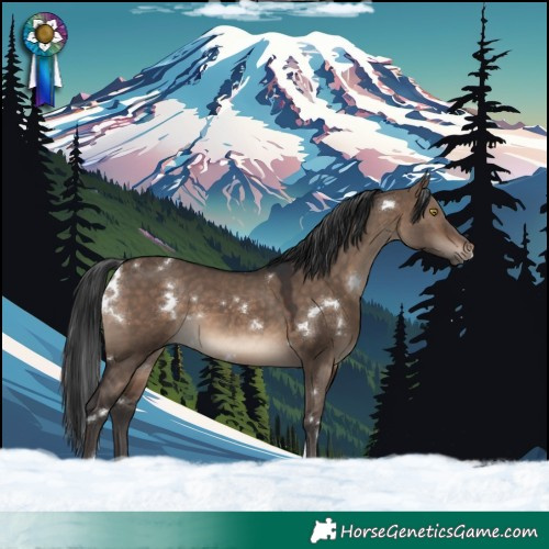 Horse Color:White Spotted Brown Dun Tobiano Rabicano