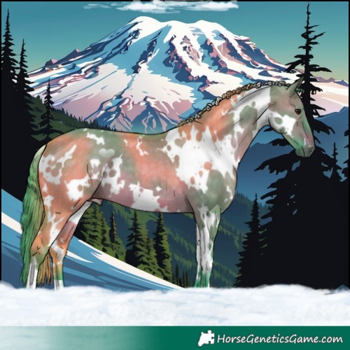 Horse Color:Watercolor White Spotted Brown Dun