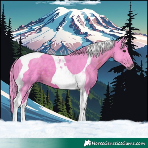 Horse Color:Watercolor Brown Tobiano