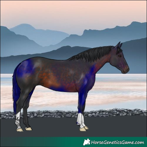 Horse Color:Brown 