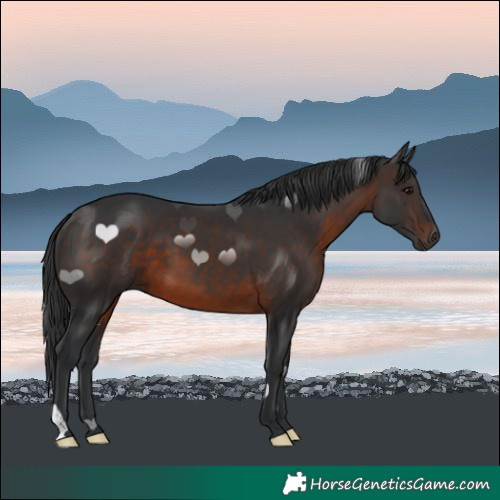 Horse Color:Brown 