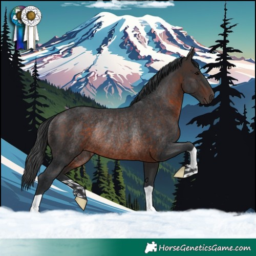 Horse Color:Brown Rabicano