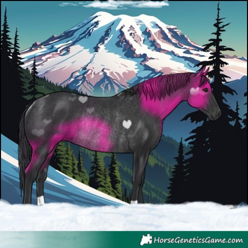 Horse Color:Black Rabicano 