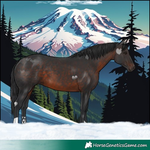 Horse Color:Brown 