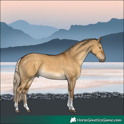 Horse Color:Chocolate Palomino Dun Tobiano