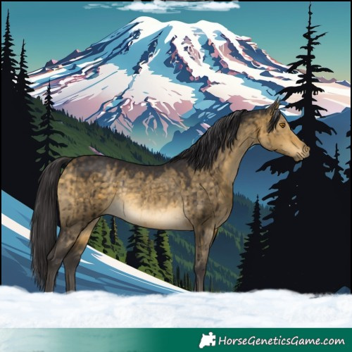 Horse Color:Buckskin Dun Rabicano Brindle