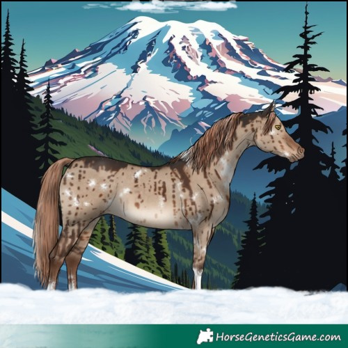 Horse Color:White Spotted Liver Red Dun Tobiano Brindle