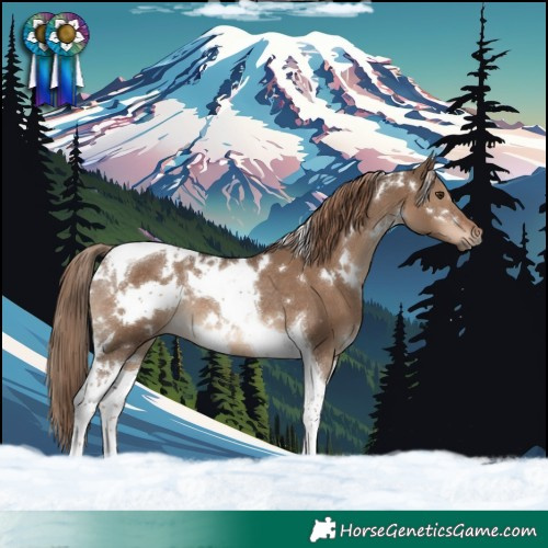 Horse Color:White Spotted Liver Red Dun Tobiano Rabicano