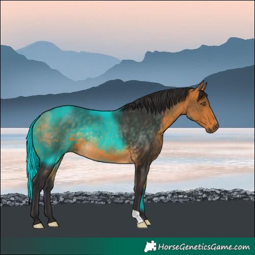 Horse Color:Buckskin 