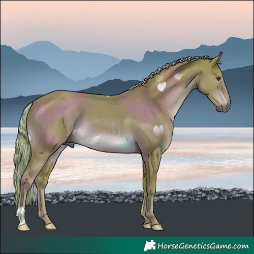 Horse Color:Watercolor Liver Chestnut
