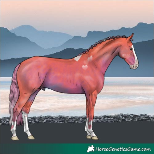 Horse Color:Watercolor Liver Chestnut Splash 