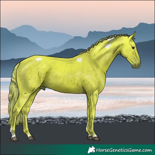 Horse Color:Watercolor Liver Chestnut