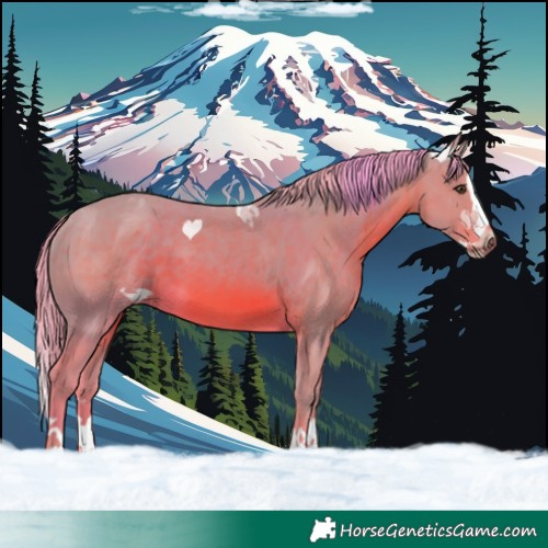 Horse Color:Watercolor Chestnut Splash