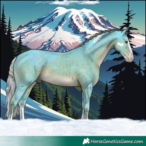 Horse Color:Watercolor Liver Chestnut Splash