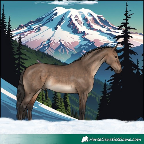 Horse Color:Brown Dun Rabicano 
