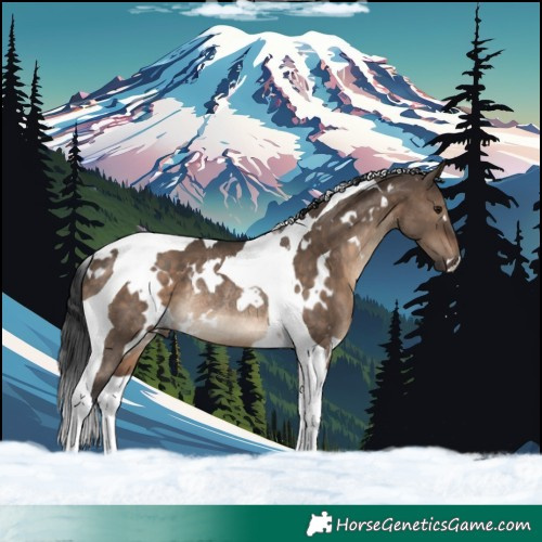 Horse Color:White Spotted Brown Dun Tobiano Rabicano