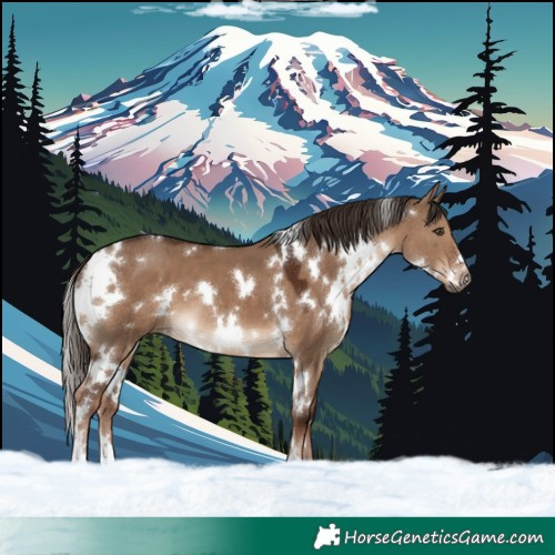Horse Color:White Spotted Liver Red Dun