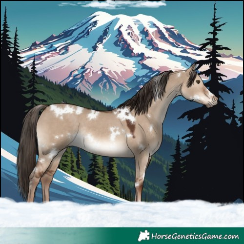 Horse Color:White Spotted Liver Red Dun Rabicano
