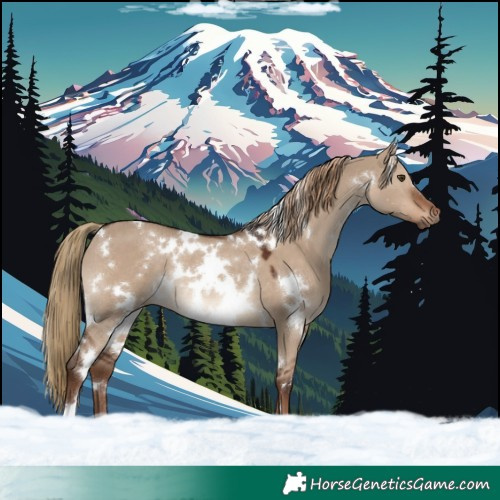 Horse Color:White Spotted Liver Red Dun Rabicano