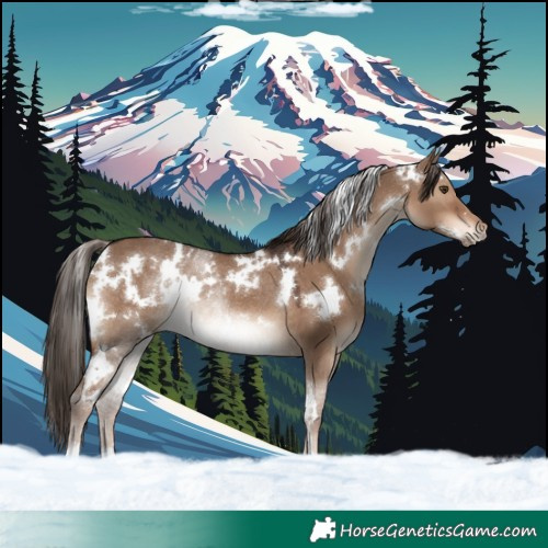 Horse Color:White Spotted Liver Red Dun Rabicano 