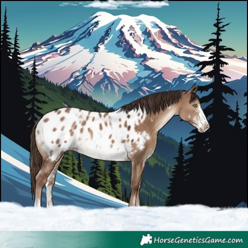 Horse Color:White Spotted Liver Red Dun Sabino Near Leopard Rabicano