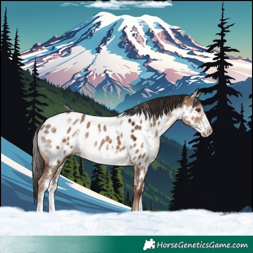 Horse Color:White Spotted Liver Red Dun Sabino Near Leopard Rabicano 