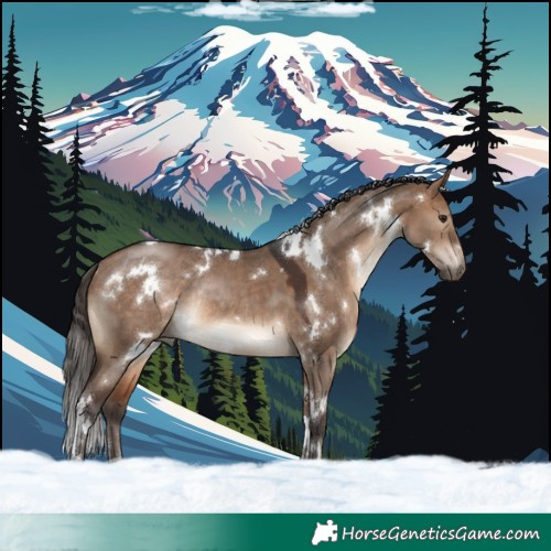 Horse Color:White Spotted Bay Dun Rabicano
