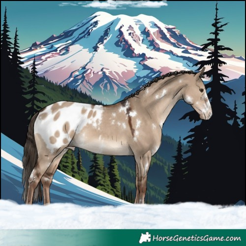 Horse Color:White Spotted Liver Red Dun Sabino Blanket