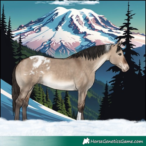 Horse Color:Bay Dun Tobiano Varnish