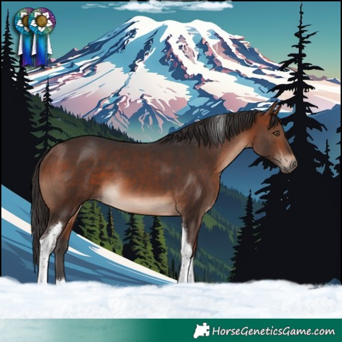 Horse Color:Bay Mushroom Tobiano