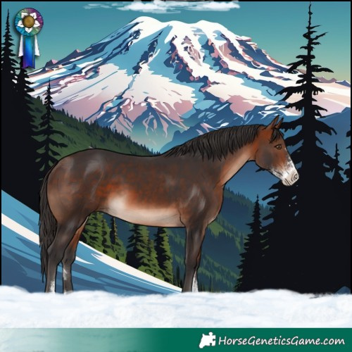 Horse Color:Bay Mushroom Sabino 